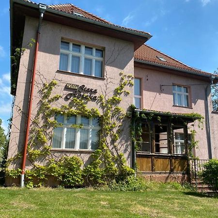 Villa Stara Apteka Srebrna Góra Dış mekan fotoğraf