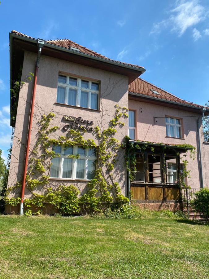 Villa Stara Apteka Srebrna Góra Dış mekan fotoğraf